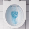 Подвесной унитаз GEBERIT RENOVA NR.1 203050000/573025000 безободковый с крышкой-сиденьем и микролифтом 203050000-573025000